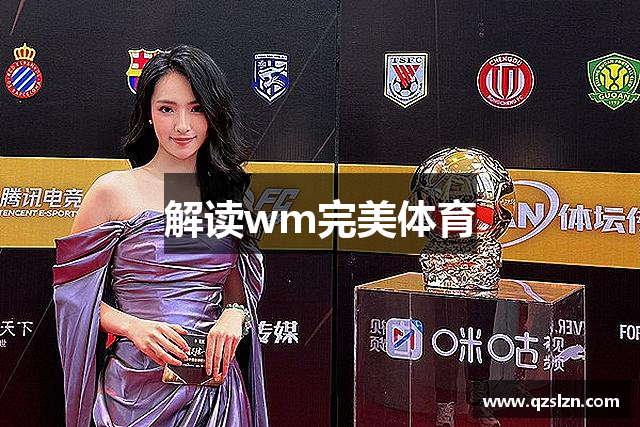 解读wm完美体育
